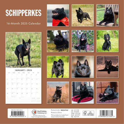 Schipperkes - 2025 Square Wall Calendar Animals 16 Months Premium Planner Gift