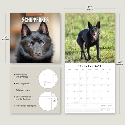 Schipperkes - 2025 Square Wall Calendar Animals 16 Months Premium Planner Gift