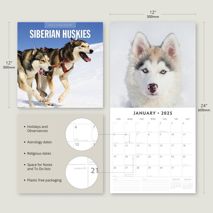 Siberian Huskies - 2025 Square Wall Calendar Animals 16 Months Premium Planner