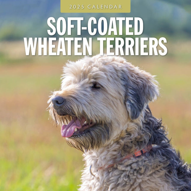 Soft-Coated Wheaten Terriers 2025 Square Wall Calendar Animals 16 Months Planner