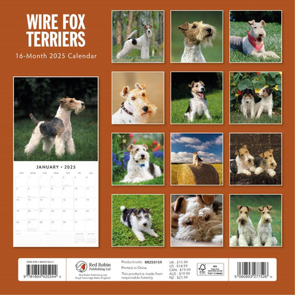 Wire Fox Terriers - 2025 Square Wall Calendar Animals 16 Months Premium Planner