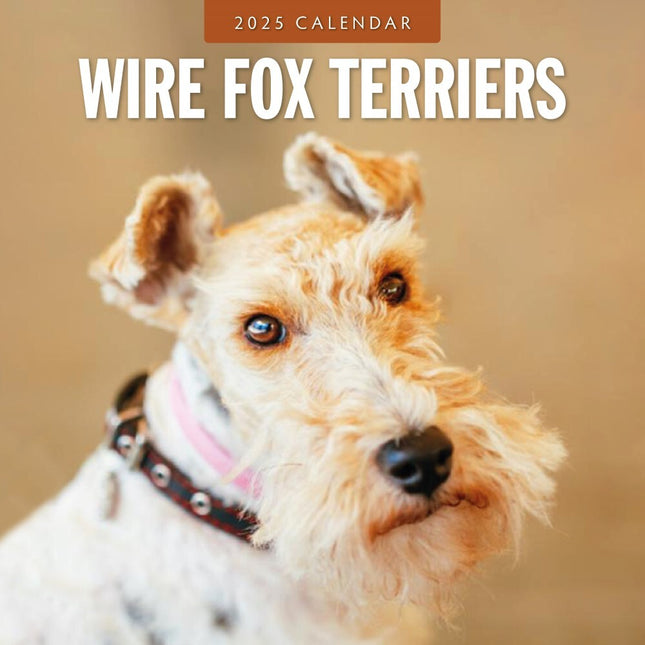 Wire Fox Terriers - 2025 Square Wall Calendar Animals 16 Months Premium Planner