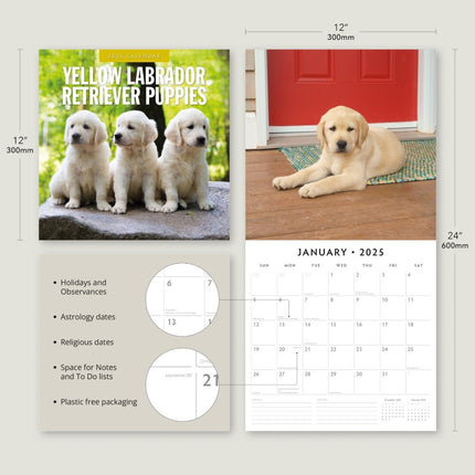 Yellow Labrador Retriever Puppies - 2025 Square Wall Calendar Animals 16 Month