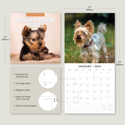 Yorkshire Terrier Puppies - 2025 Square Wall Calendar Animals 16 Months Planner