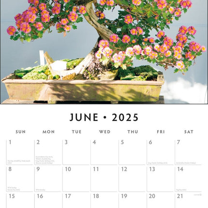 Bonsai - 2025 Square Wall Calendar Floral16 Month Premium Planner New Year Gift