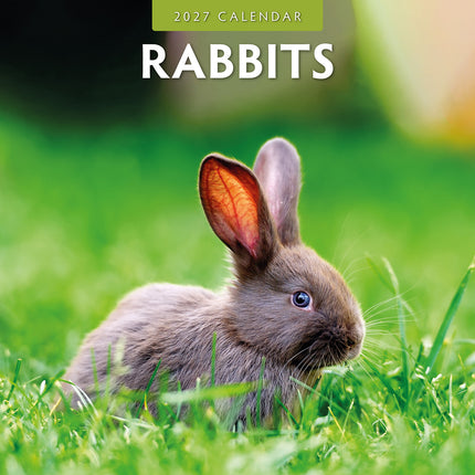 Rabbits 2027 square wall calendar - front cover