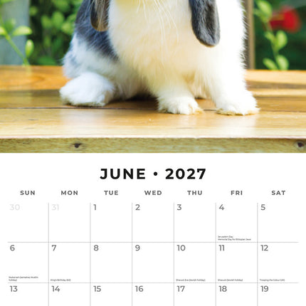 Rabbits 2027 square wall calendar - monthly calendar spread