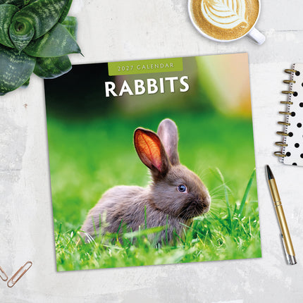 Rabbits 2027 square wall calendar - image detail