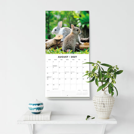 Rabbits 2027 square wall calendar - wall display