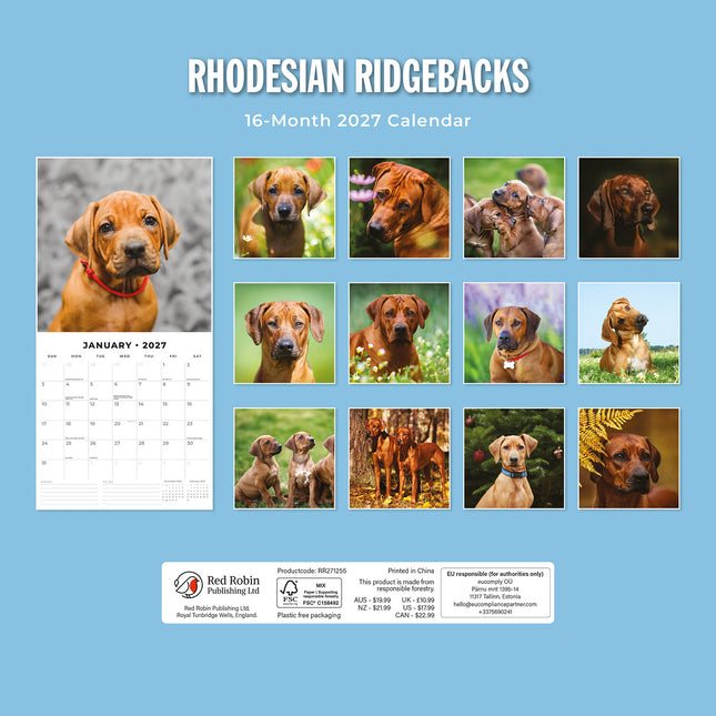 Rhodesian Ridgebacks 2027 square wall calendar - back cover