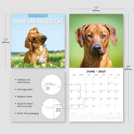 Rhodesian Ridgebacks 2027 square wall calendar - product specifications