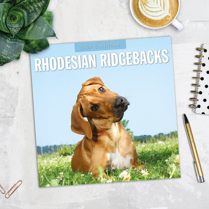 Rhodesian Ridgebacks 2027 square wall calendar - image detail