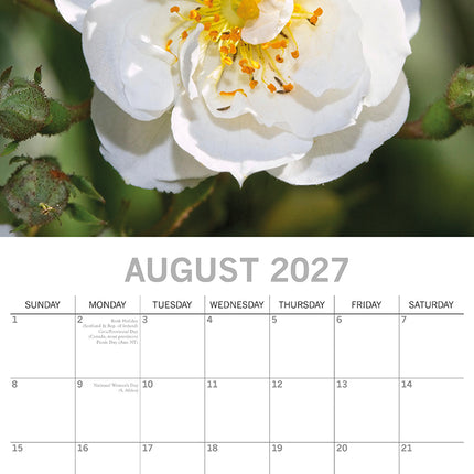 Roses 2027 Premium Square Wall Calendar August sample page