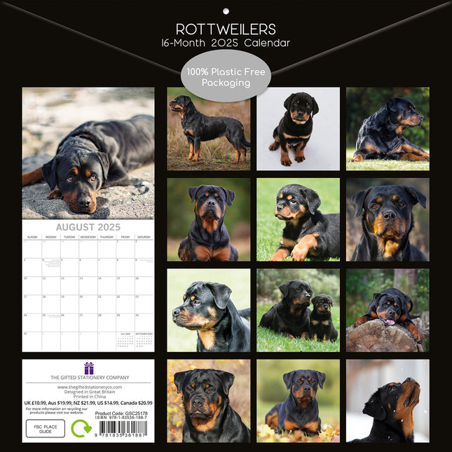 Rottweilers 2025 Square Wall Calendar Dogs Pets Animals 16-Month Premium Planner