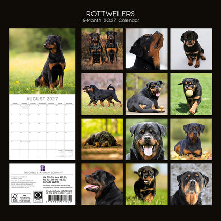 Rottweiler Puppies 2027 Premium Square Wall Calendar back cover