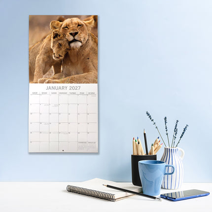 Safari 2027 Premium Square Wall Calendar lifestyle image