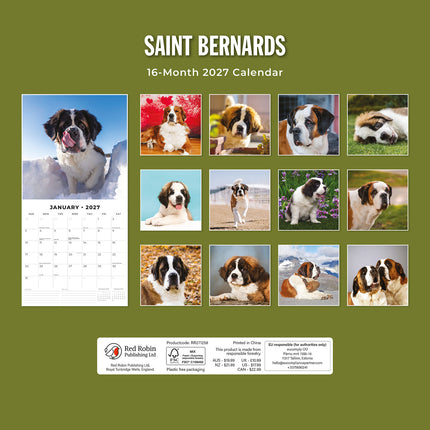 Saint Bernards 2027 square wall calendar - back cover