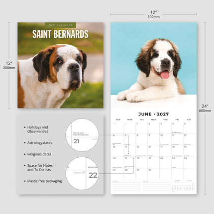 Saint Bernards 2027 square wall calendar - product specifications