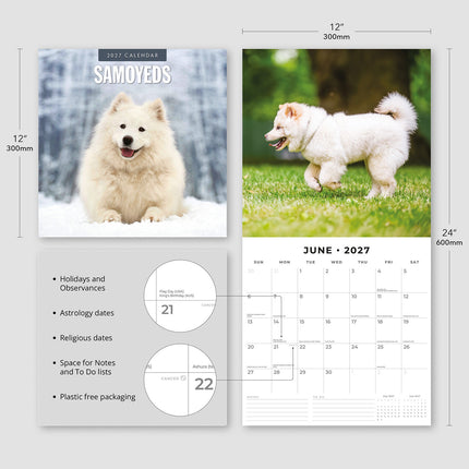 Samoyeds 2027 square wall calendar - product specifications
