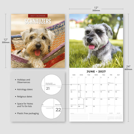 Schnauzer 2027 square wall calendar - product specifications