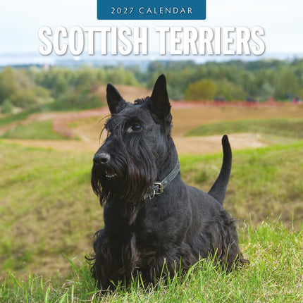 Scottish Terriers 2027 square wall calendar - front cover