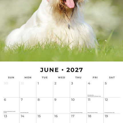 Scottish Terriers 2027 square wall calendar - monthly calendar spread