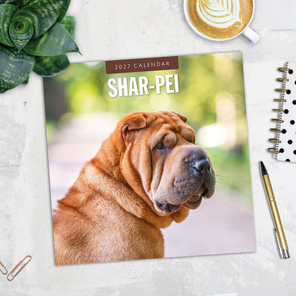 Shar-Pei 2027 square wall calendar - image detail