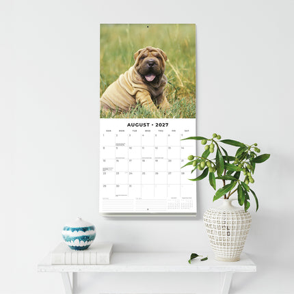 Shar-Pei 2027 square wall calendar - wall display