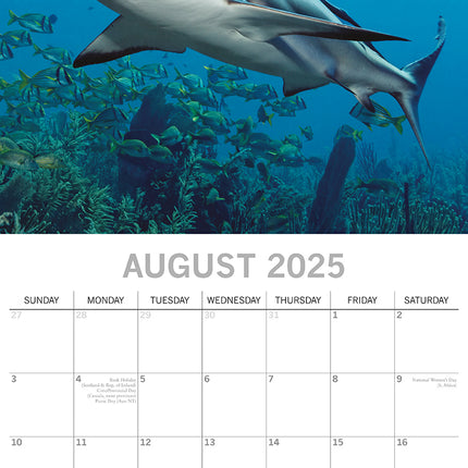 Sharks - 2025 Square Wall Calendar Pets Animals 16 Months Premium Planner Gift