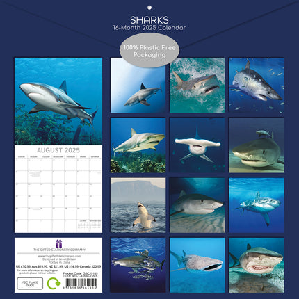 Sharks - 2025 Square Wall Calendar Pets Animals 16 Months Premium Planner Gift