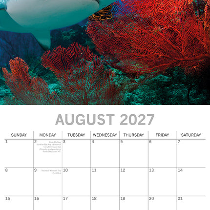 Sharks 2027 Premium Square Wall Calendar August sample page