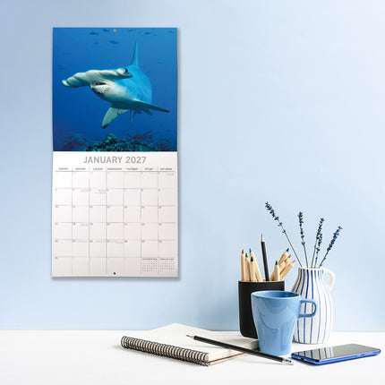 Sharks 2027 Premium Square Wall Calendar lifestyle image