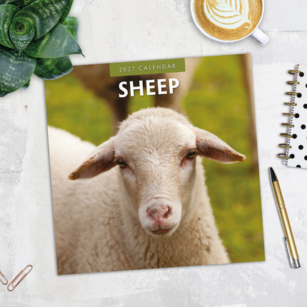 Sheep 2027 square wall calendar - image detail