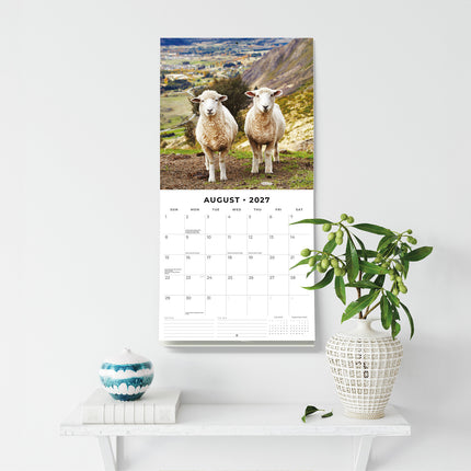Sheep 2027 square wall calendar - wall display