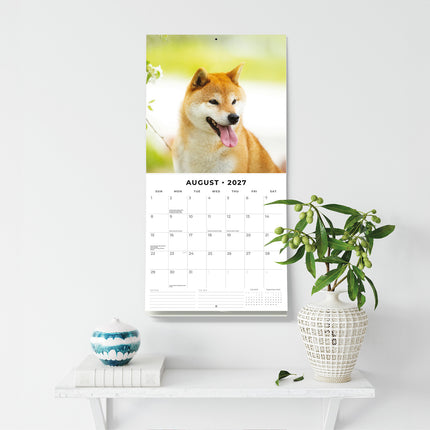 Shiba Inu 2027 square wall calendar - wall display