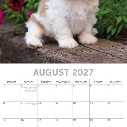Shih Tzu 2027 Premium Square Wall Calendar August sample page