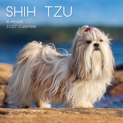 Shih Tzu 2027 Premium Square Wall Calendar cover
