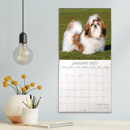 Shih Tzu 2027 Premium Square Wall Calendar lifestyle image