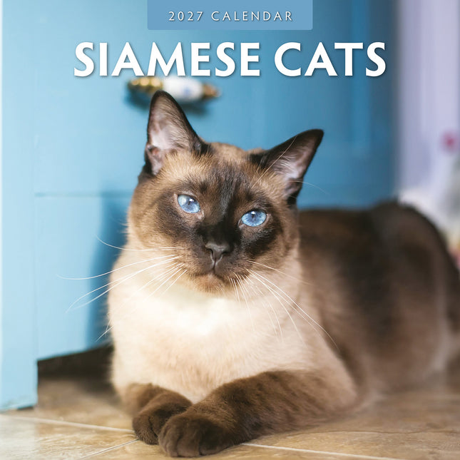 Siamese Cats 2027 square wall calendar - front cover