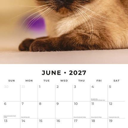 Siamese Cats 2027 square wall calendar - monthly calendar spread