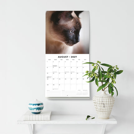 Siamese Cats 2027 square wall calendar - wall display