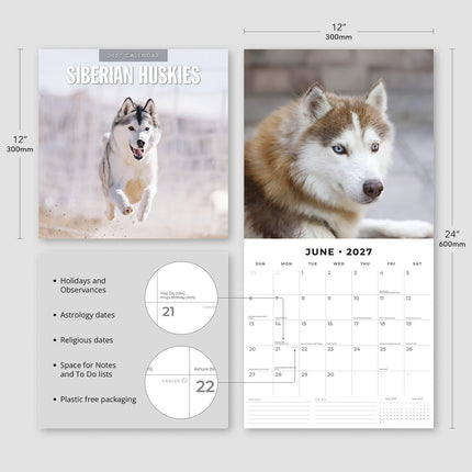 Siberian Huskies 2027 square wall calendar - product specifications