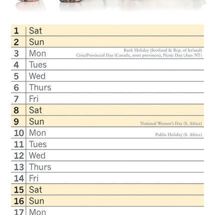 Adorable Dogs 2026 Rectangle Wall Calendar