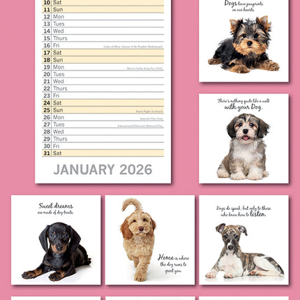 Adorable Dogs 2026 Rectangle Wall Calendar