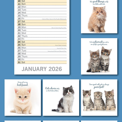Cute Kittens 2026 Rectangle Wall Calendar