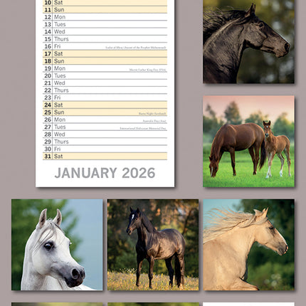 Horses 2026 Rectangle Wall Calendar