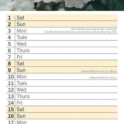 Roses 2026 Rectangle Wall Calendar