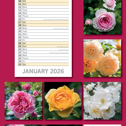 Roses 2026 Rectangle Wall Calendar