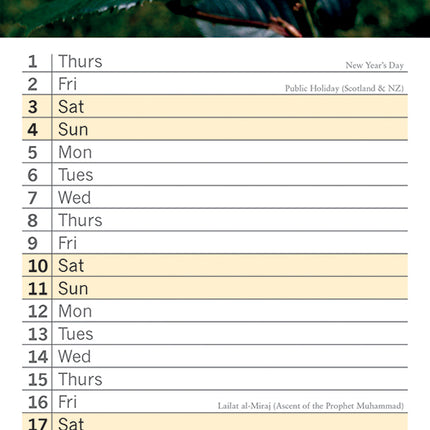 Roses 2026 Rectangle Wall Calendar