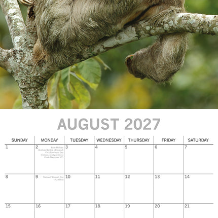 Sloths 2027 Premium Square Wall Calendar August sample page